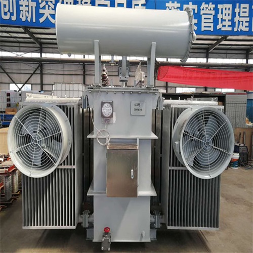 成安10KV油浸式变压器